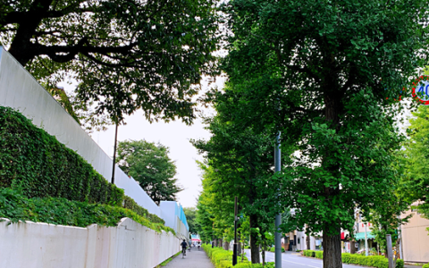 取得日本永久居住权,去日本居住证办理流程