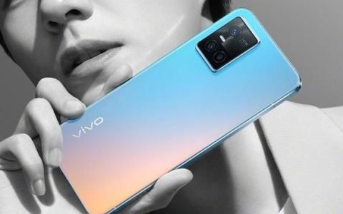 vivos10的官方标配是什么