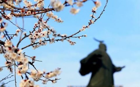 芒砀山旅游区免门票活动