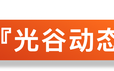 武汉光谷荷叶山规划2020年,光谷一路荷叶山规划图