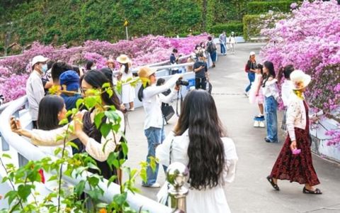 逛仙湖要预约凭票入园吗,深圳仙湖植物园入园老人要预约吗