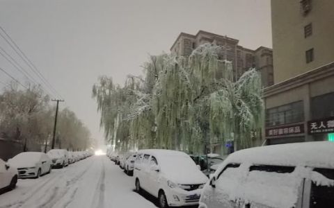 腊月底下着雪打着雷是什么征兆呢