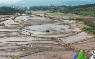 永州市蓝山县塔峰镇雷家岭村,湖南省永州市蓝山县塔峰镇雷家岭