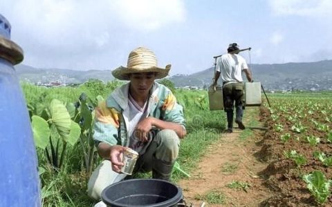 肥料发酵用什么菌种,最简单的发酵蔬菜肥料方法