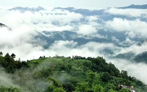 徐霞客哀牢山,徐霞客探险哀牢山