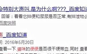 猫咪便便一声吼?可能是便秘啦吗