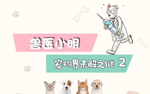 怀孕不能养猫会感染弓形虫吗,孕妇养猫如何避免感染弓形虫