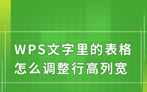 wps文字里的表格怎么调整行高列宽