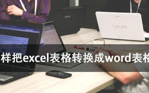 怎么样把excel表格转换成word