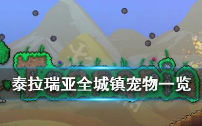 泰拉瑞亚城镇宠物入住条件大全(泰拉瑞亚所有城镇宠物)