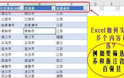 excel如何同时进行多项筛选