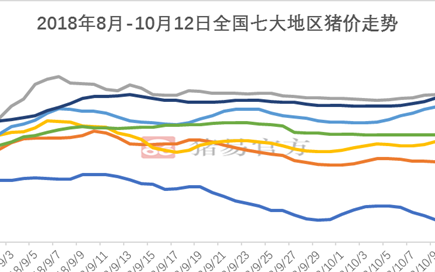 白条肉调运最新通知