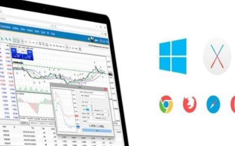 mt5外汇平台官网