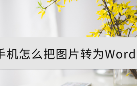 手机怎么把图片转为word文档