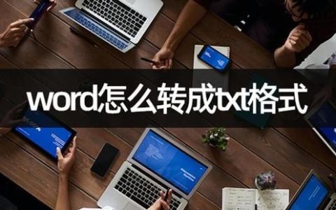 word文件怎么转换成txt格式