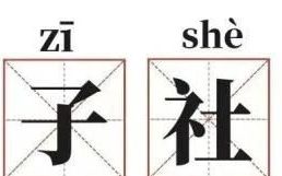 平替？如今年轻人竟流行这个……过半人都有，你呢？