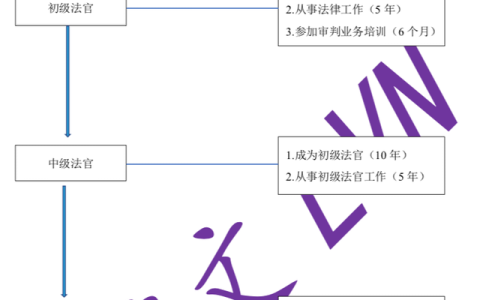 在越南当法官工资高吗