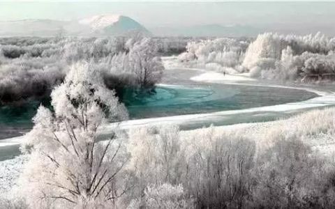 林海雪原之歌茫茫林海,牙克石驰骋林海雪原