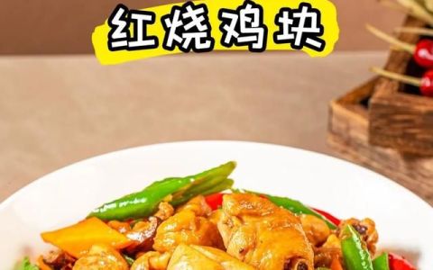 红烧鸡块用什么原料搭配比较好(怎样做红烧鸡块都是放什么料)