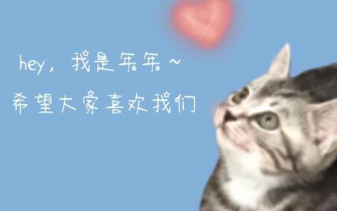 猫猫最好的绝育方式