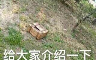 绝地求生大逃杀按键操作图文详解