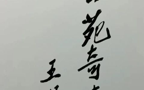 成语 麻