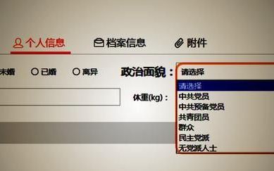 我的政治面貌,政治面貌填啥