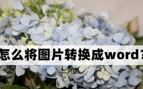 怎么将图片转换成word文档?三个好用的方法分享到微信