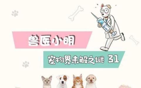 夏季给狗狗剃光毛,有助于狗狗降温吗