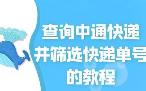 怎么搜索中通快递单号查询(补发的中通快递单号怎么查询)