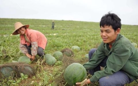 农村俗语财不走急富不去偏,人不得横财不富马不吃野草不肥