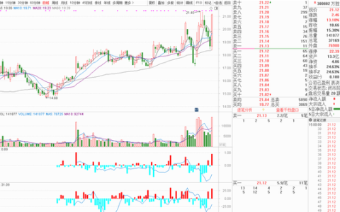 通达信软件怎么调出资金流向(通达信dde资金流向指标)