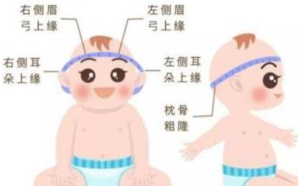 如何对婴幼儿的身体发育情况进行评估