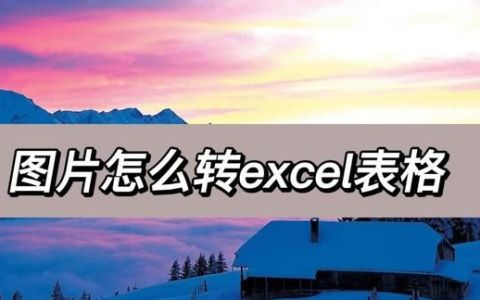 图片怎么转成excel表格形式