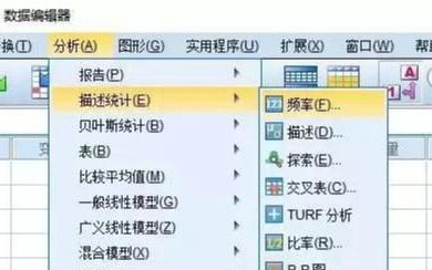 spss的数据描述性统计分析