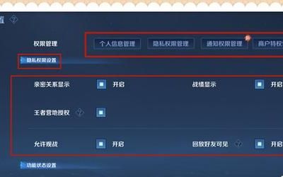 王者荣耀有哪些隐私该设置的