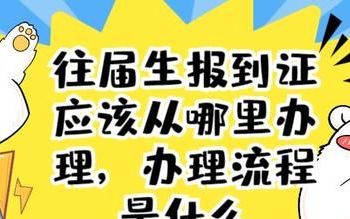 往届生报到证应该从哪里办理,办理流程是什么样的