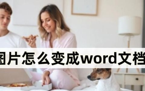 图片怎么变成word文档