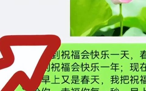 怎样用微信发送早上好问候语,早上好问候文案可以复制