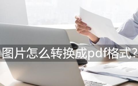 怎么把图片文字转换成word文档手机