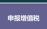 抄报税的流程及注意事项,抄报税流程详细操作