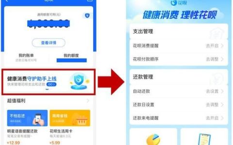 花呗借呗上限额度管理(花呗3800额度借呗10000额度)