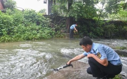 临安法院以司法之力守护绿水青山