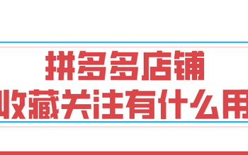 拼多多店铺关注收藏有什么好处(弘辽科技2020年电商还有哪些机会)