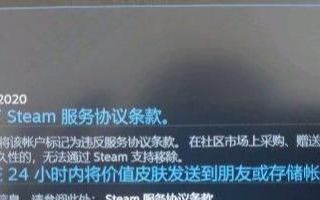 csgo饰品防骗指南(csgo steam防骗设置)