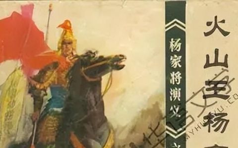 杨家将十代英雄传