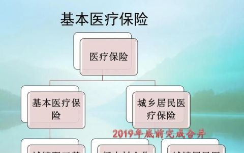 2020年新农合缴费哪六类人不用交