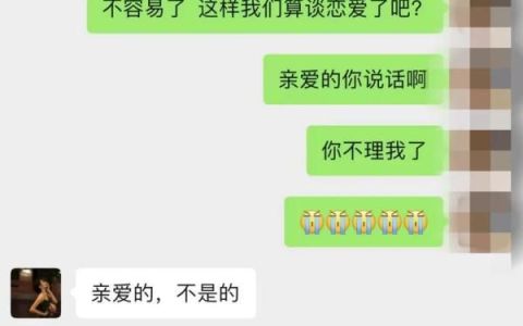 网恋“女友”消失不见？可能在和她的几十个新男友聊天，也可能被抓了……