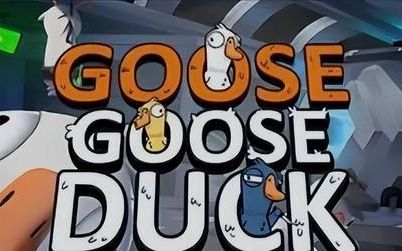 goose duck注册了进不去游戏