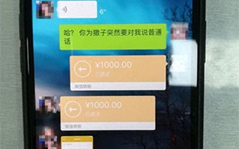 被王者荣耀代练骗了600元(微信代练被骗1000报警有用吗)